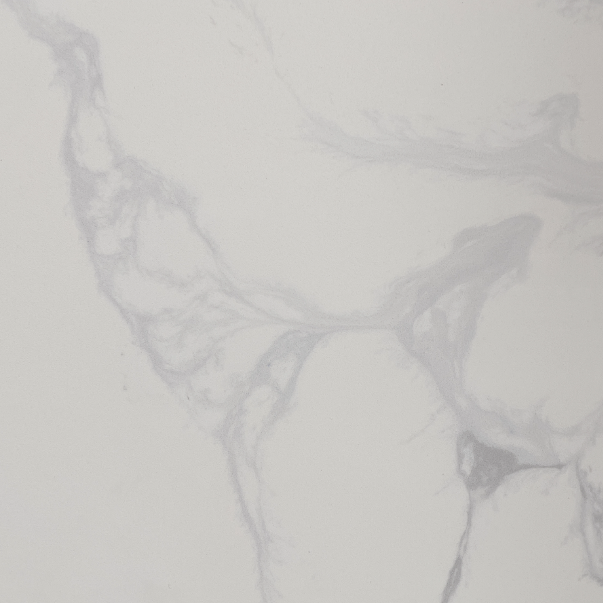 Calacatta Versilia Engineered Stone Countertop | Apex Engineered Stone